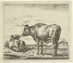 Toro de pie, de Diferentes Animales
