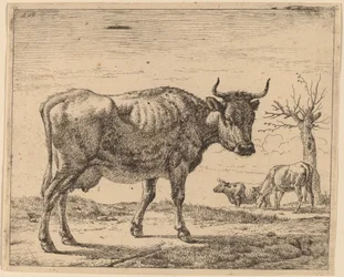 Tres vacas