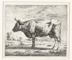 dos vacas y una oveja Diferentes animales (título de la serie)