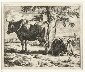 Dos vacas debajo de un árbol Vacas y ovejas (título de la serie)