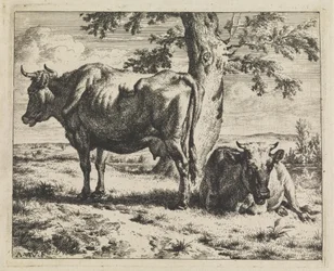Dos vacas bajo un árbol
