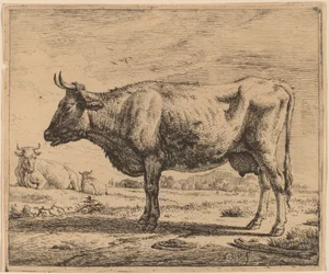Dos vacas y una oveja