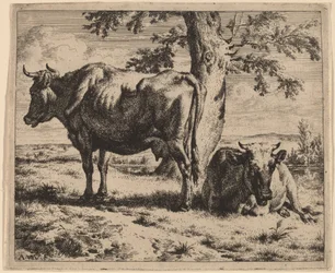 Dos vacas bajo un árbol