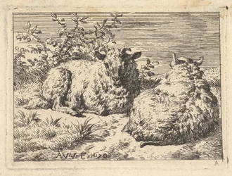 Dos ovejas recostadas, 1670