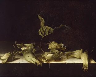 Naturaleza muerta con avellanas, 1696
