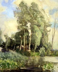 Una cabaña en la orilla de un río