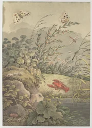 Pieza de agua con cangrejo, mariposas, libélulas y espino cerval de mar, c. 1800