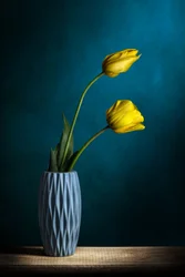 Elegantes tulipanes amarillos