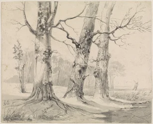 Paisaje de invierno