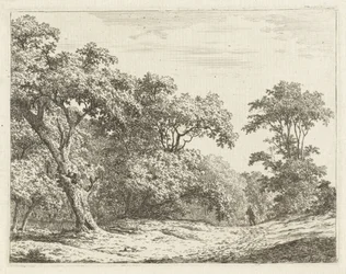 Paisaje con árboles y un hombre en la carretera.