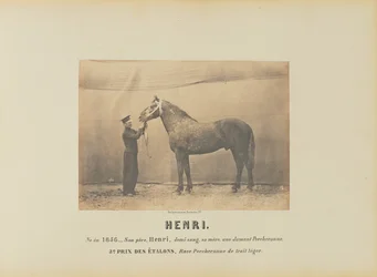 Henri