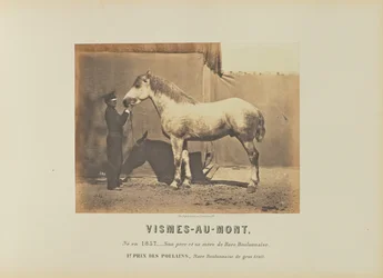 Vismes-Au-Mont