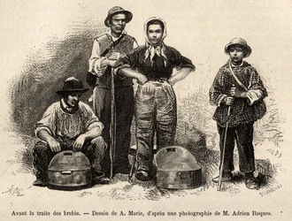 Antes del comercio de ovejas, todo el personal de la granja estaba empleado en esta tarea, niño, sirviente, bajo la supervisión del pastor, se recogía la leche en las seillas (vaso de metal estañado), grabado después de un dibujo de A.Marie, ilustrando un 