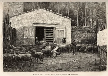 El comercio de ovejas, todo el personal de la granja estaba empleado en esta tarea, niño, sirviente, bajo la supervisión del pastor, grabado después de un dibujo de A.Marie, ilustrando un viaje a Roquefort y sus alrededores, por Adrien Roques y Jules Chart