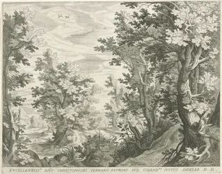 paisaje forestal