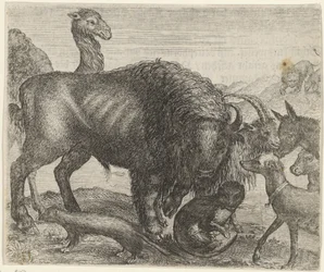 Fábula del bisonte y los otros animales