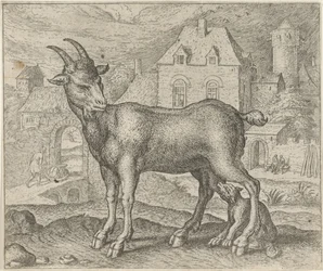 Fábula de la cabra y el joven lobo