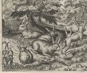 Fábula de las liebres y las ranas