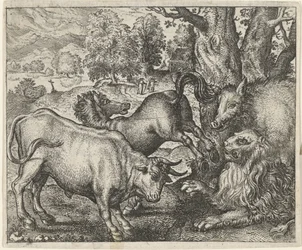 Fábula del viejo león