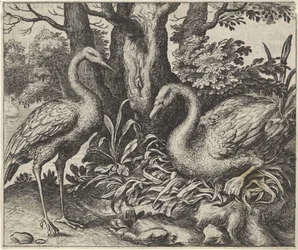 Fábula del cisne y la cigüeña