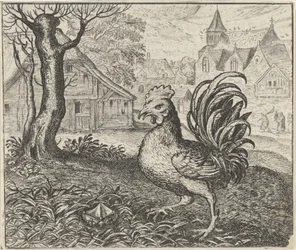 Fábula del gallo y el diamante