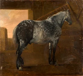 Un caballo gris moteado