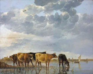 Ganado en el agua
