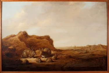 Paisaje con conejos