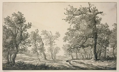 Sendero a través de un bosque de robles