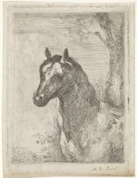 Cabeza de caballo