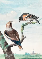 Dos pájaros  Piquituerto