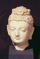 Cabeza de un Buda, estilo Greco-Budista, de Hadda