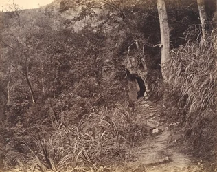 Camino izquierdo hacia el monasterio de Yuen foo, ca. 1869