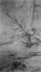 Patos y juncos