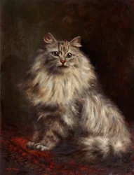 Gato persa, c.1908-20