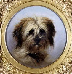 Cabeza de un terrier
