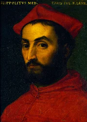 Retrato de Ippolito de Medici (Urbino)
