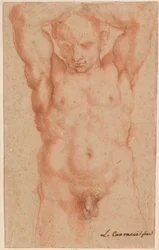desnudo masculino