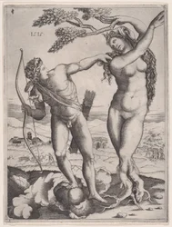 Apolo y Dafne, 1515