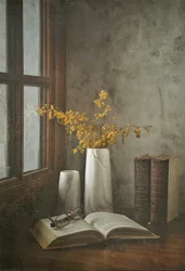 Luz de ventana «Libro abierto»