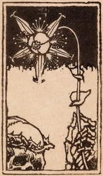 La muerte y la flor