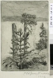 Paisaje junto al lago