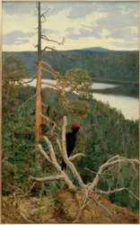 El gran pájaro carpintero negro