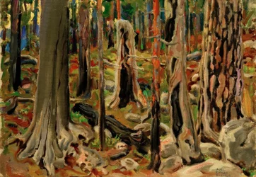 El bosque quemado