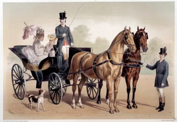 Un carruaje con caballos anglo-normandos. Grabado de Albert Adam (1833-?) siglo XIX París, Museo Carnavalet