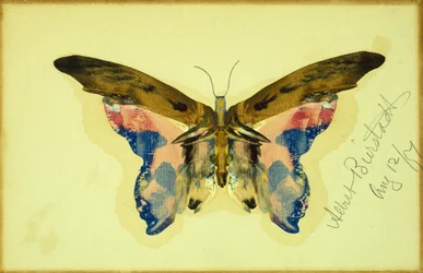 Mariposa (gouache sobre papel)