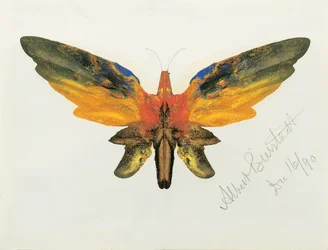 Mariposa, 1890