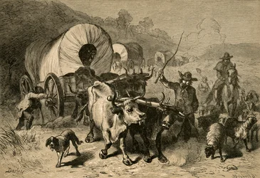 Emigración al país occidental, 1877