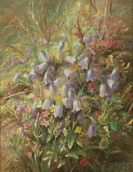 Campanillas y otras flores y hierbas del bosque