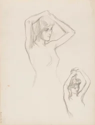 Desnudo